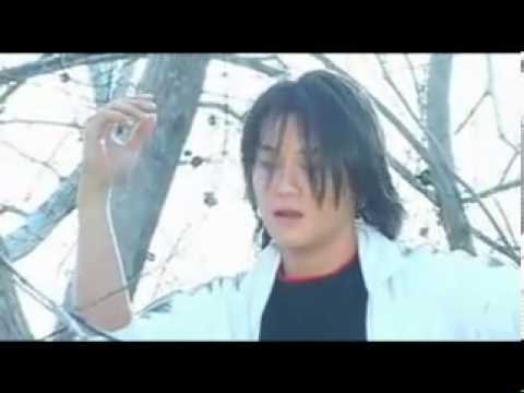 Yêu Người Trong Mộng - Trịnh Tuấn Vỹ - youtube