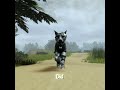 ꣑ৎ- I got a new tiktok :D #wcuefyp #wcue #fyp
