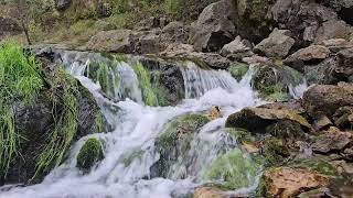 Fight anxiety, healing, hope & relief stresses. Fall asleep with this smooth music with nature water by Heal Me 41 views 2 months ago 1 hour