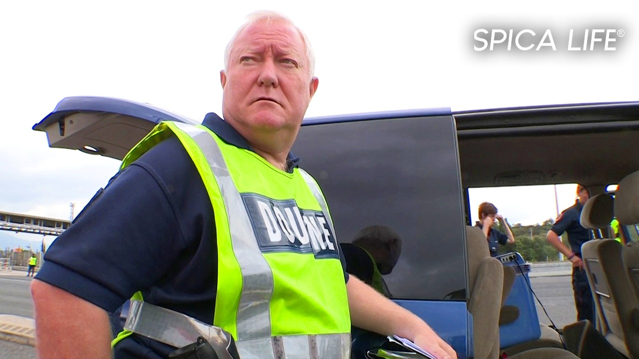 Trafic, go-fast et contrebande : frontières françaises en alerte