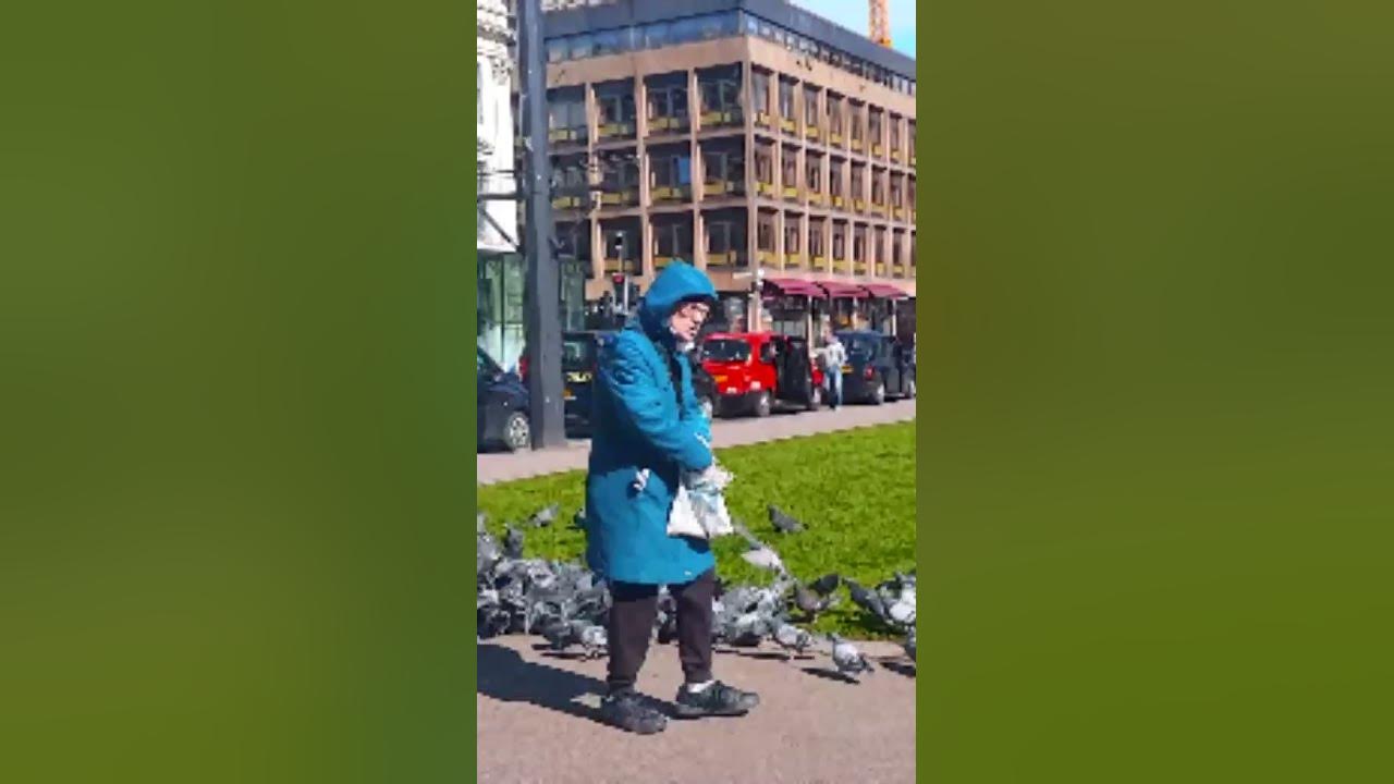 Грозная женщина кормит голубей! ПОДПИШИСЬ! Глазго. Шотландия.#shorts ...