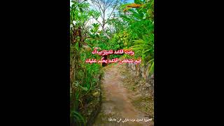 could you be loved بوب مارلي مترجمة