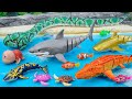 Satisfying Unboxing Light Robo Fishing Aquarium Playset 🦈🐳🦖 Unboxing No Talking 라이트 로보 낚시 수족관 플레이 세트