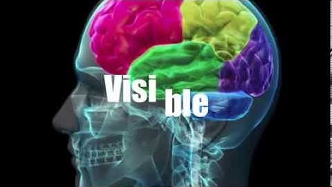 Making Thinking Visible