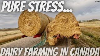 Breaking Bales on The Road... Not Good!