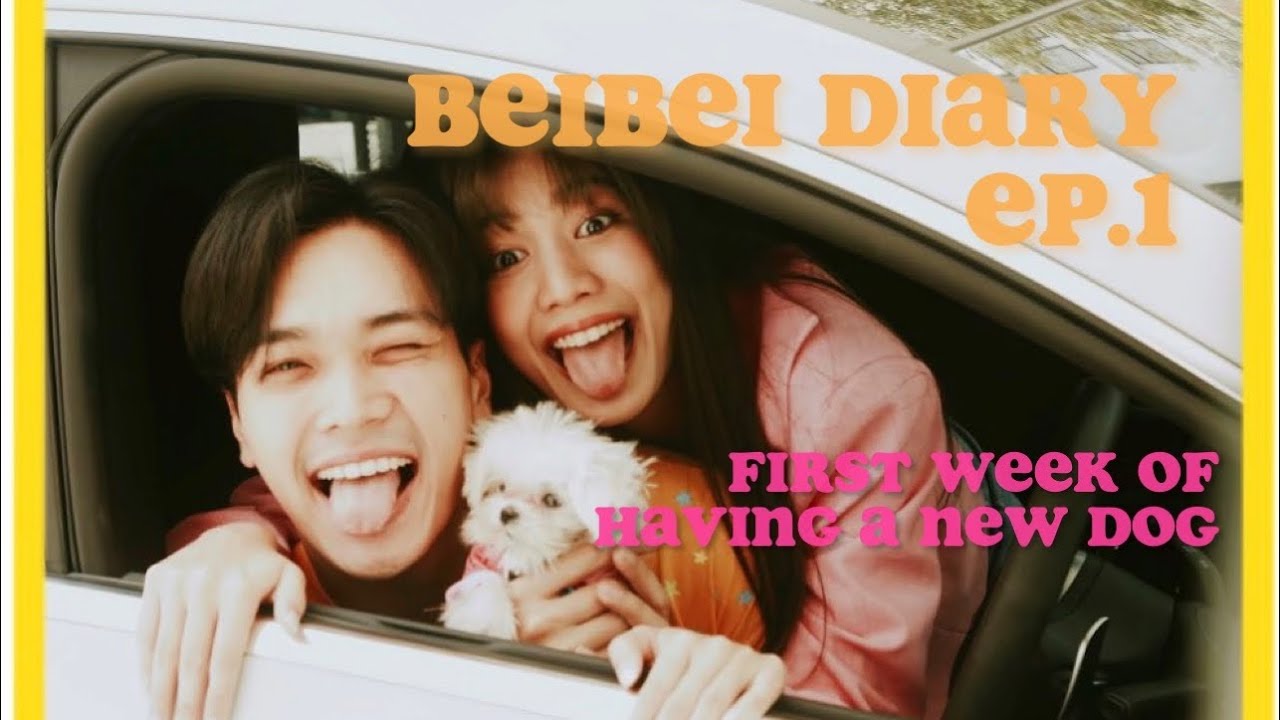 BEIBEI DIARY  EP.1 สัปดาห์แรกของการเลี้ยงเจ้าเบยเบย สัปดาห์อันตรายของหมาเด็ก 🐶 | Alrisaa