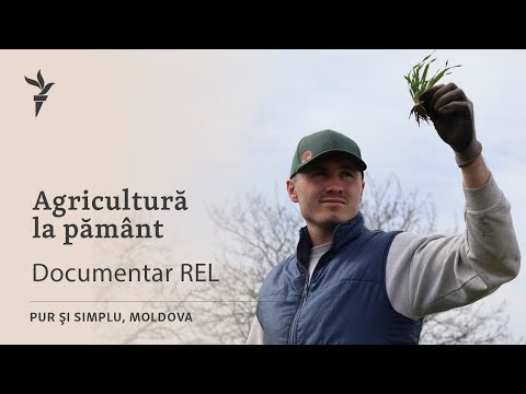 Video: Este agricultura mediteraneană comercială?