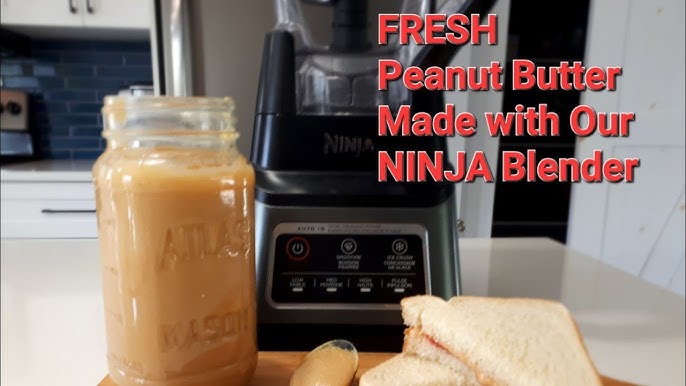 Ninja® TWISTI™ High Speed Blender in Platinum, 1 ct - Fry's Food