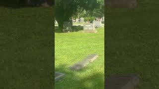 Grave of a lady who ran a brothel for years miss pauline tabort