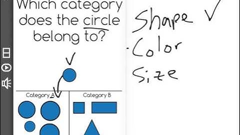 [K.MD.3-1.0] Classifying/Counting Objects - Common Core Standard