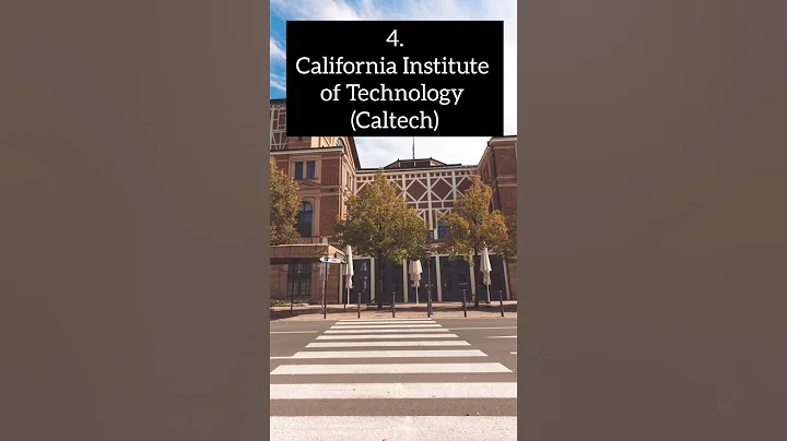 Top 5 Universities in USA 🇺🇸