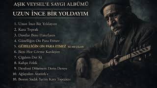 Güzelliğin On Para Etmez - Aşık Veysel’e Saygı Bağlama Türkü Cover