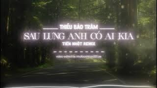 Sau Lưng Anh Có Ai Kìa - Thiều Bảo Trâm ( Tiến Nhật Remix )