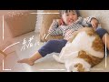 愛が強めの猫と過ごす、2歳児の日常