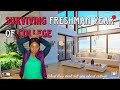 What they don’t tell you about freshman year | First year of college | Home and Abroad |
