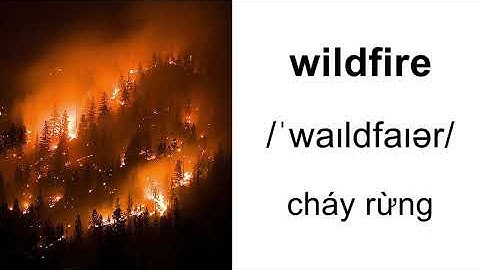 Viết bài văn 7-10 câu về chủ đề natural disaster năm 2024