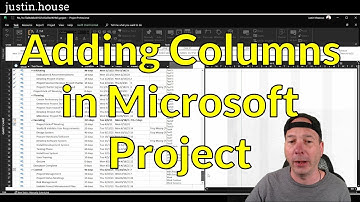 Adding Columns in Microsoft Project