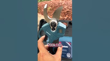 Kéo Cắt Cành BOSHUN BS-CP30BL