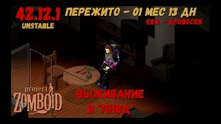 картинка: Project Zomboid I 42 билд I v. 12.1  I ПНВД I 07 стрим I 08 сезон I