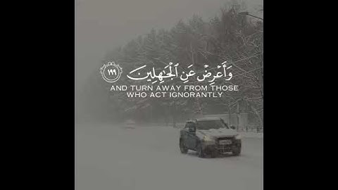 القارئ الشيخ عبد الرحمن مسعد ((سورة الأعراف))