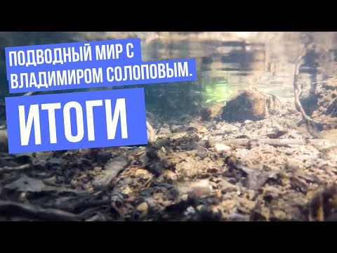 Итоги \ Подводный мир с Владимиром Солоповым