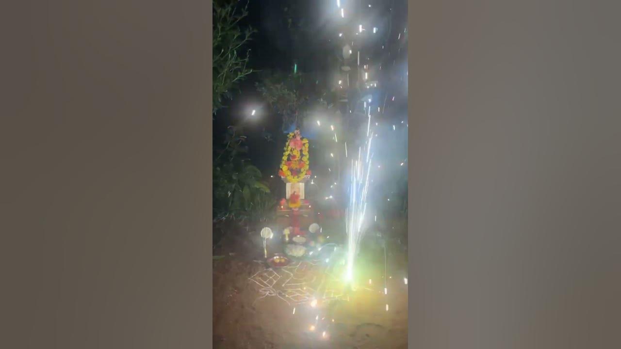 Tulsi puja 2024 tulsivivah tulsi tulsipooja habba thankyouuniverse