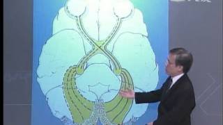 20121130《大愛醫生館》看不見的奇蹟