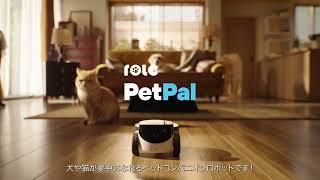 ROLA PetPal 〜ペットと飼い主の絆を育むロボット〜