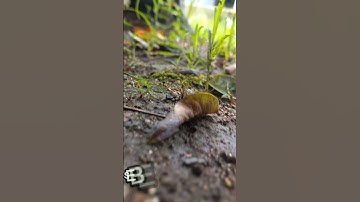 CARA EDIT VIDEO SINEMATIK HOROR