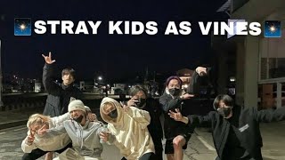 Stray Kids as Vines!(Repost)