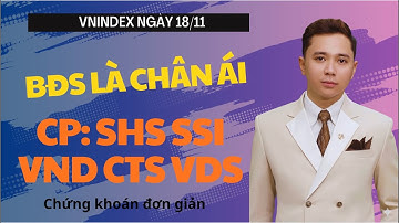 BĐS là chân ái - Cổ phiếu: SHS SSI VND CTS VDS