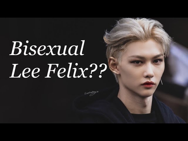 Felix Bisexual Stray Kids