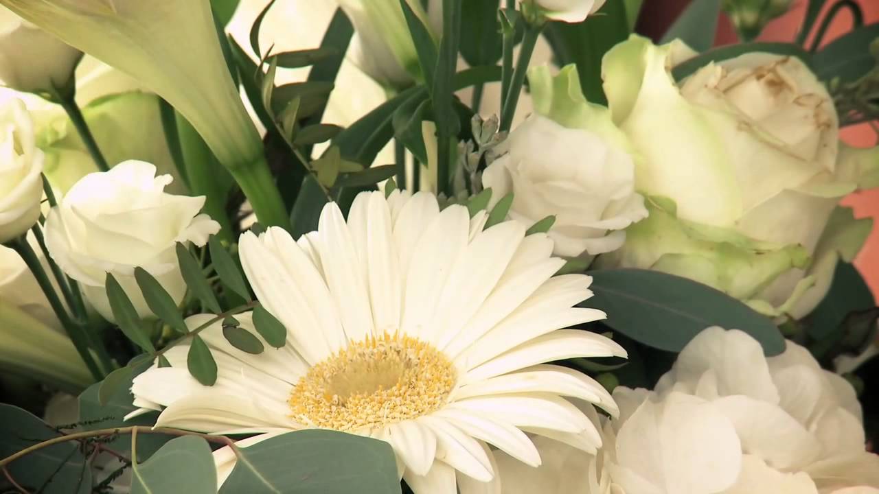 Swiss Housesitting 6370 Stans www.swisshousesitting.ch Housesitting Haussitter Hauspersonal