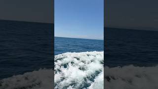 Andaman Cruize ship| Neil island | Neil Island to Port blair | Ferry boat  | Green ocean