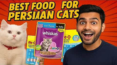 Watch the video about Best Food for Persian Cats 😋 | Juhi Ka Favourite Cat Food | Whiskas Junior Review