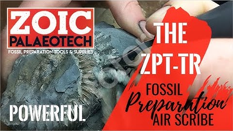 Fossil Preparation using the ZOIC T-Rex Air Scribe (British Fossils)