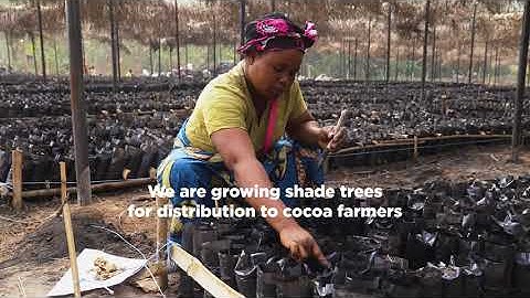 Overarching - Nestlé Cocoa Plan EN
