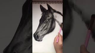 رسم حصان بالفحم