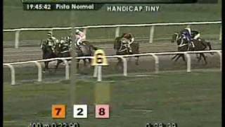 Origen Romano Handicap Tiny 2010 Hipódromo San Isidro
