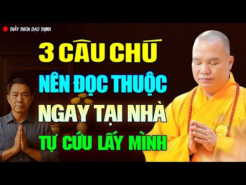 3 Câu Chú Nên Đọc Thuộc Ngay Tại Nhà Để Tự Cứu Lấy Mình | Thầy Thích Đạo Thịnh