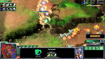 AusGamers StarCraft 2: Heart of the Swarm Launch Interview with Dustin Browder