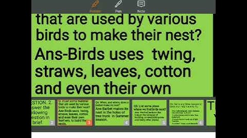 Std 3 Birds and their nest part10