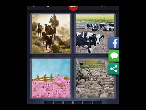 4 images 1 mot 6 lettres billets vaches dessin