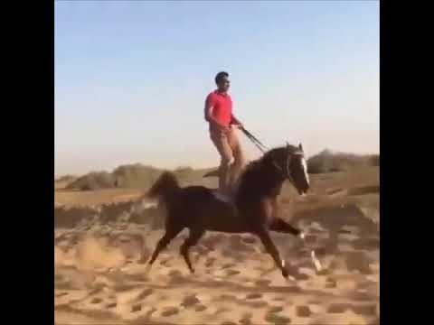 I GOT THE HORSES IN THE BAG SONG- LIL NAS X - YouTube