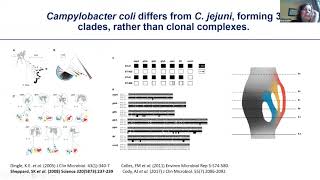 T9 Twenty years of Campylobacter research using sequencing data and PubMLST how far we have come!