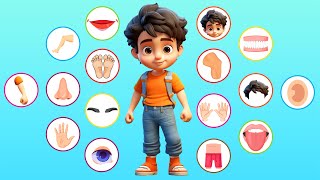 Ultimate Guide to Understanding Body Parts | Toddler Education | Parts of the body for kids