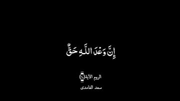 كرومات سوداء قرآن كريم [فَاصْبِرْ إِنَّ وَعْدَ اللَّـهِ حَقٌّ ..] الروم (٦٠) سعد الغامدي