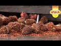 Ushas palm oil from plantation to packaging