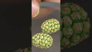 Miniature pineapple #pineapple #miniaturefood