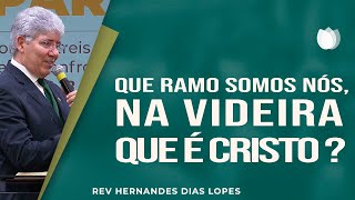 Que ramo somos nós, na videira que é Cristo? | Rev. Hernandes Dias Lopes | IPP